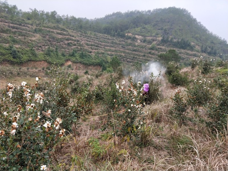 治小,治好