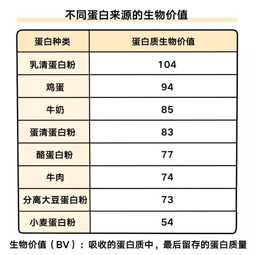 蛋白质大全教你5分钟认清它们的优劣