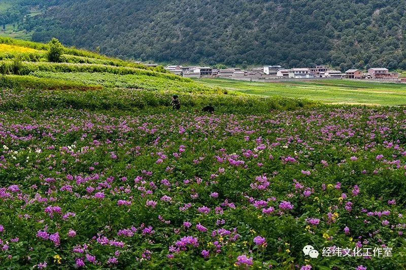 鹤庆马厂罗贵宝石场图片