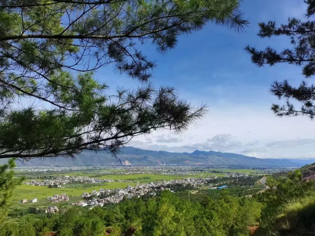 绿美鹤庆鹤庆县草海镇聚焦五新共建绘就绿美乡镇新画卷