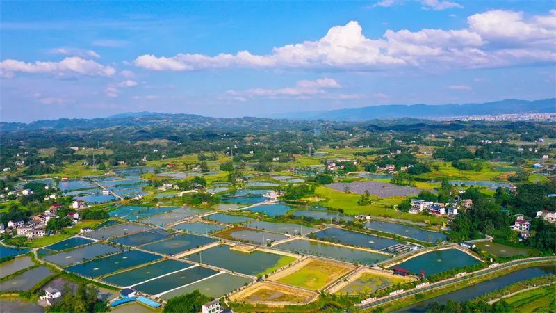 生态耀双城——绿色中国74和美梁平第四届明月山生态旅游文化节