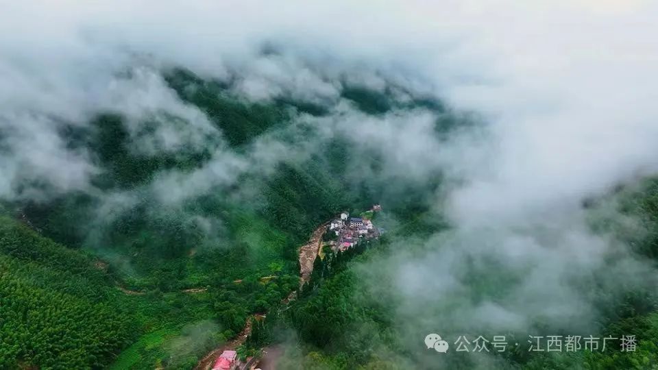 阅自然 悦武夷"自然教育新风尚---武夷山国家公园(江西片区)自然教育