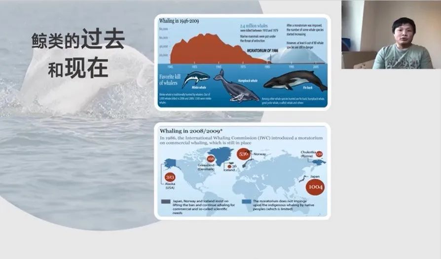 5 | 被鲸鱼吞进肚子以后.