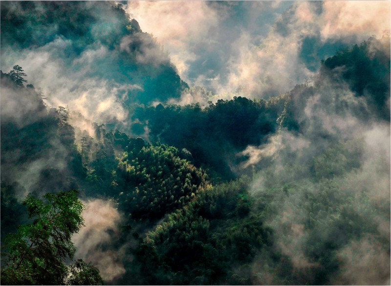 江西马头山国家级自然保护区空山新雨后