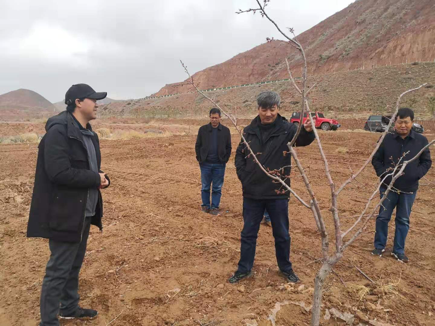 扎实推进国土绿化同党史学习教育相结合国土绿化技术服务组赴同心县