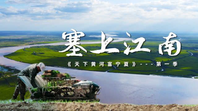 万物生① | 塞上江南-宁夏林业厅-关注森林网