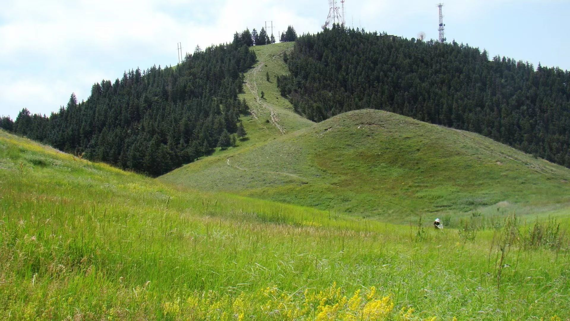 先行区建设74大美罗山96 | 见证绿水青山就是金山银山-宁夏林业和