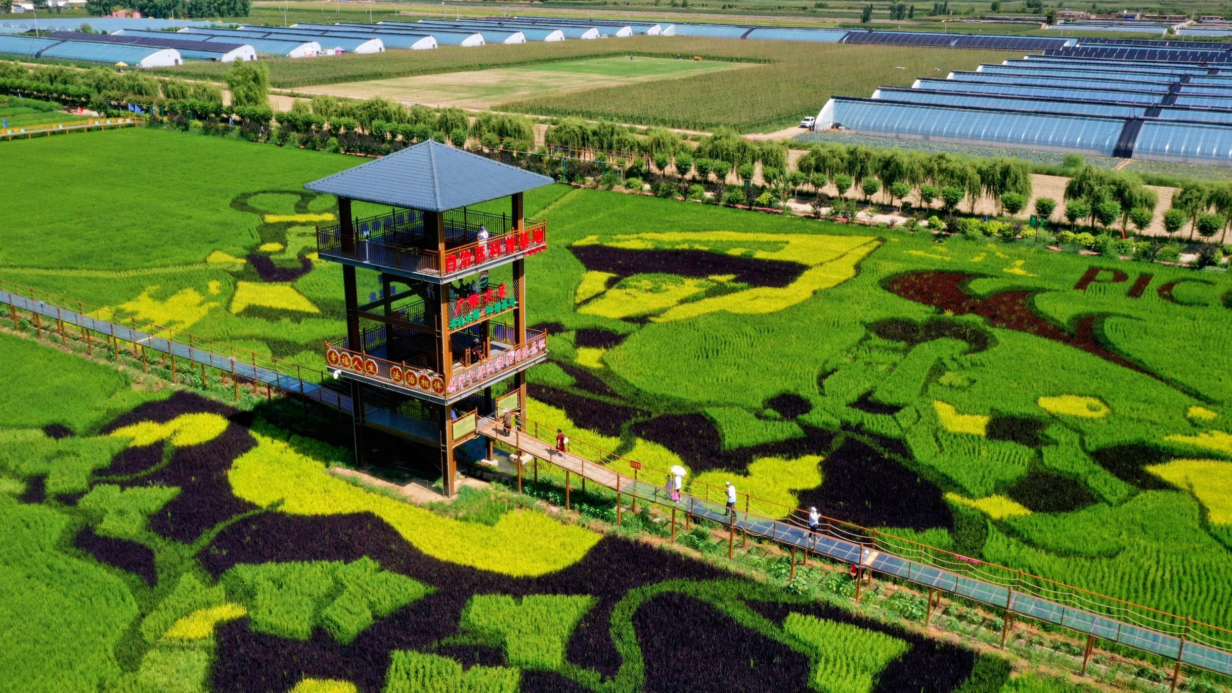 稻渔空间生态观光园图片