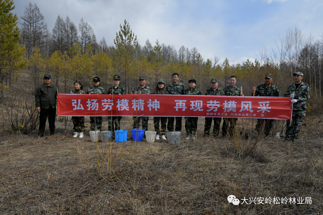 植树造林添新绿 共建生态好家园——松岭林业局工会开展共植“劳模林”主题实践义务植树活动 - 关注森林