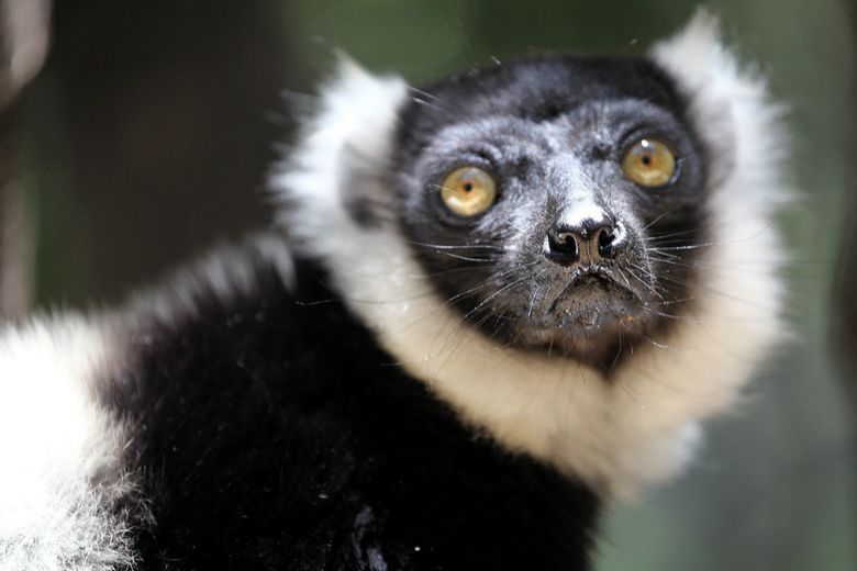 去南非看见更大世界