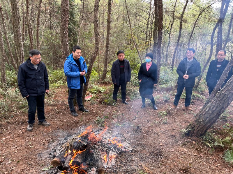 2月16日靖安县副县长,县级林长龚娟芳在雷公尖乡,仁首镇实地调研松材