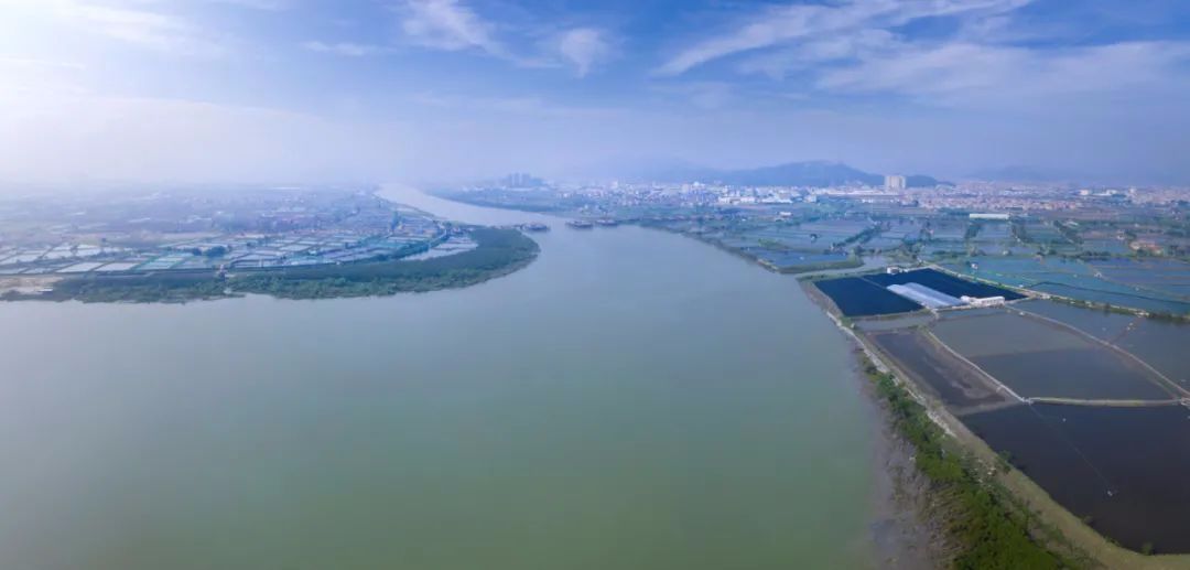 九龙江入海口图片