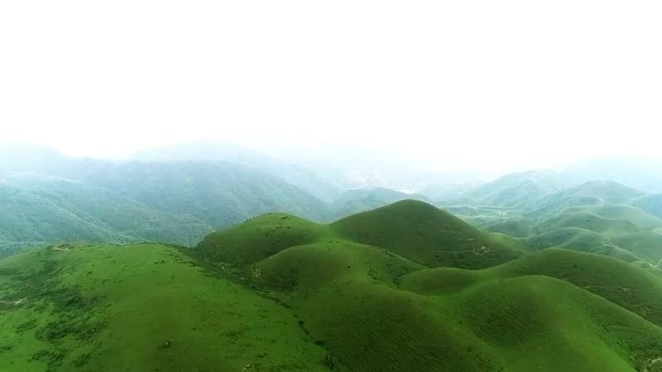 5米 阳江第二高峰 横卧在阳春与高州,信宜交界处 这里的高山草甸 一座