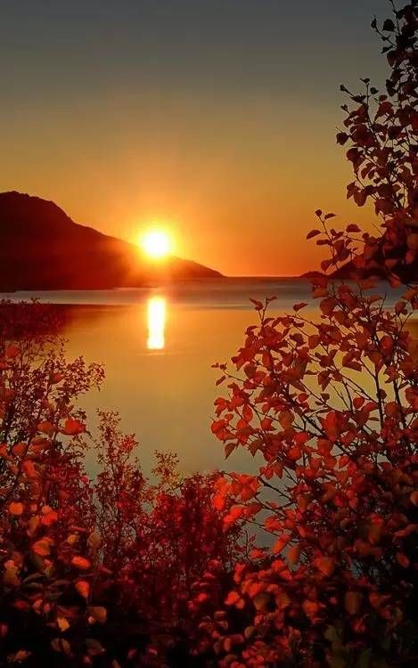 青山依旧在 几度夕阳红