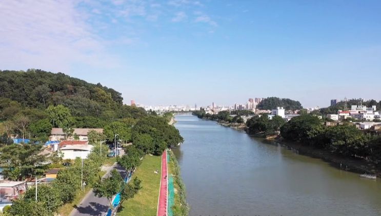 广州市桥水道碧道惊艳亮相