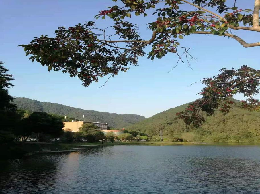翁源九曲水森林康养基地入选广东省森林康养基地试点名单大力发展森林