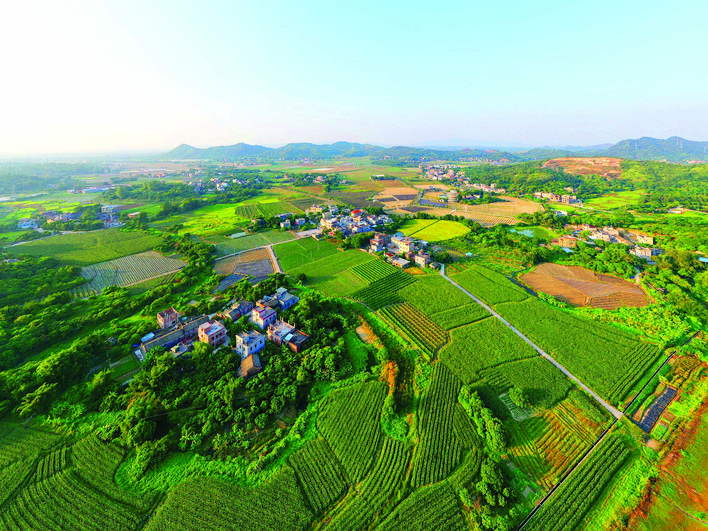 严守耕地林地红线节约集约用地用林