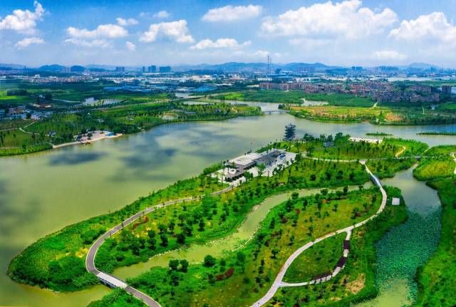 华阳湖国家湿地公园图片