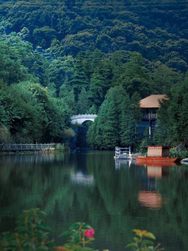 快来打卡!广州帽峰山正式获评国家4a级旅游景区