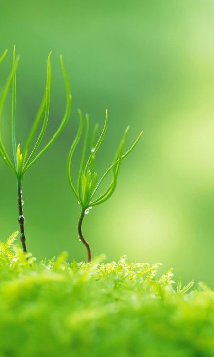 人生那不期而遇的温暖和生生不息的希望
