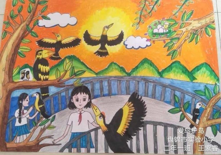 盘锦市实验小学—天空有鸟飞翔主题