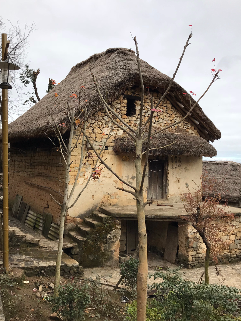 哈尼族民居的建筑特色图片