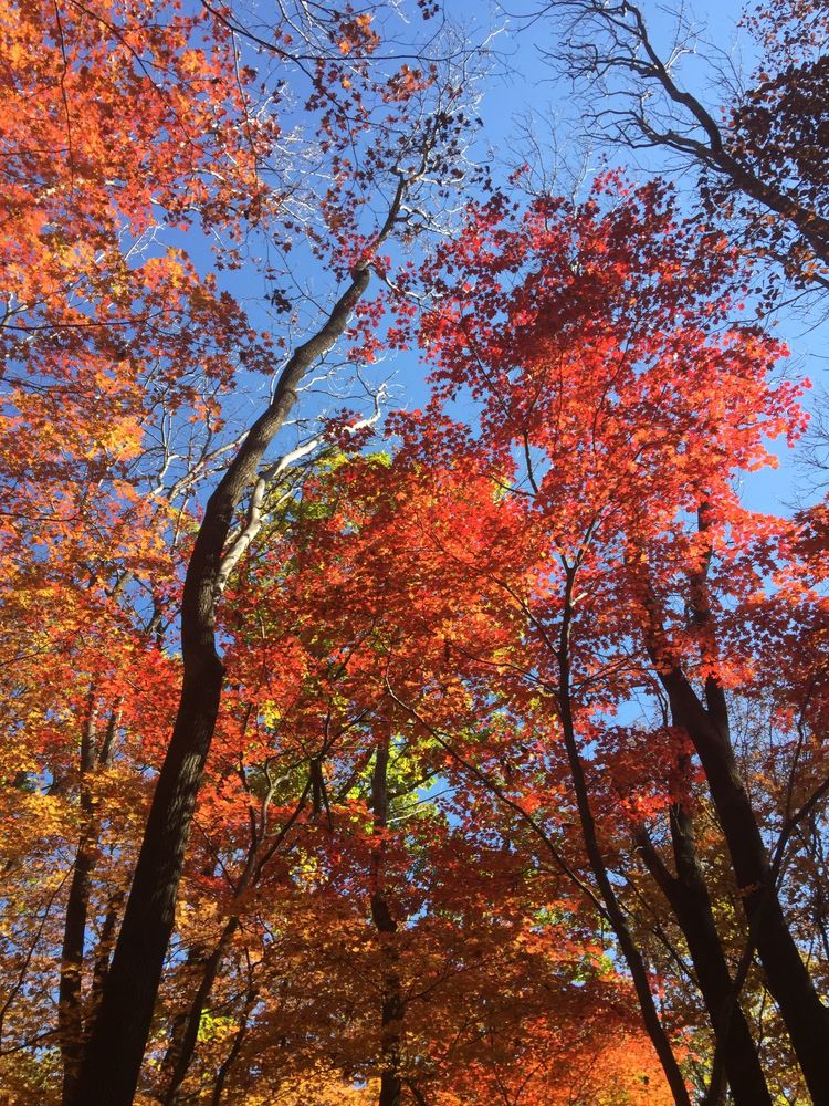 長春——(高速)磐石——樺甸——紅石林業局,紅石國家森林公園(瘸程