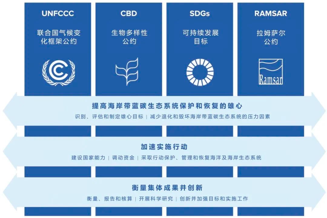 包括《联合国气候变化框架公约》(united nations framework