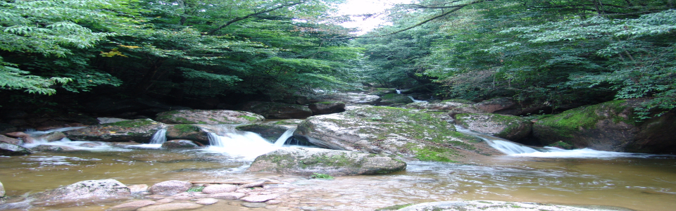 甘肅小隴山國家森林公園