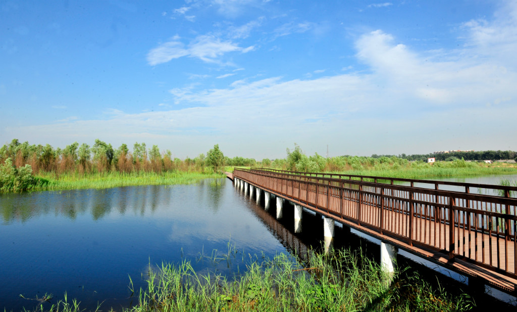 河南郑州黄河国家湿地公园