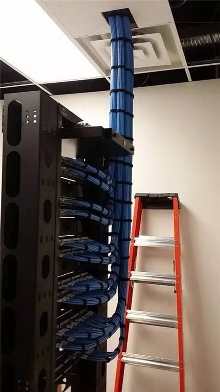 看!德国电工整理的电线