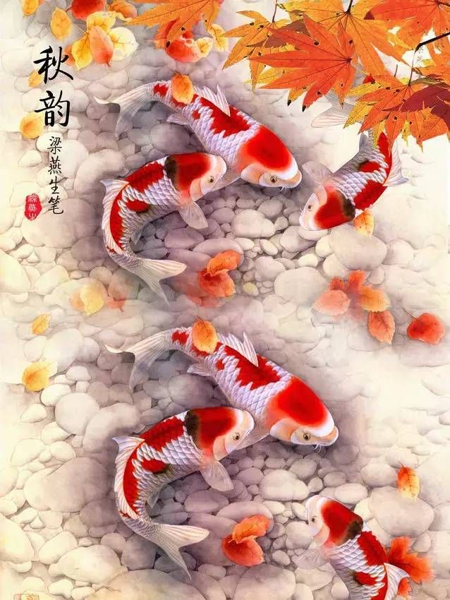 雨水丰泽,连年有余 ,鲤鱼美图