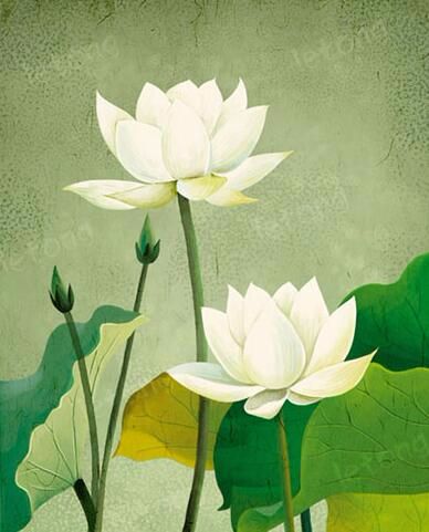 心境坦然生命淡然