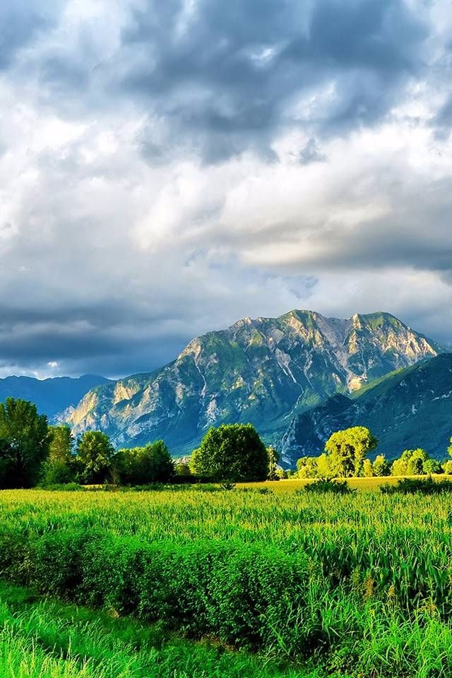 美图经典珍藏 风景 > 正文媒体:微信