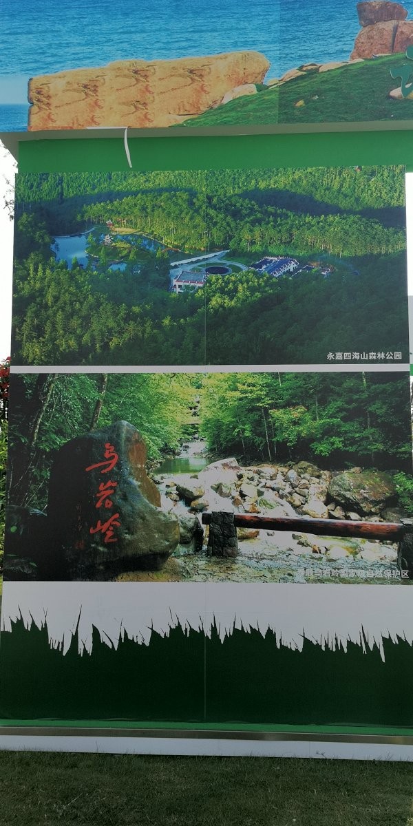 四海山森林公园门票图片