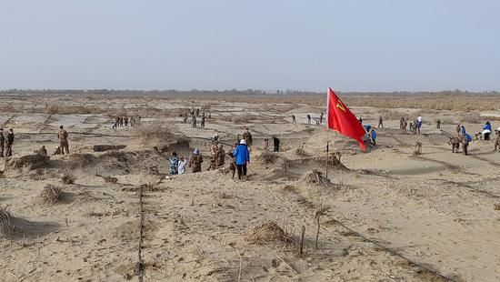 铁门关市第二师三十三团近千人给沙漠披绿衣
