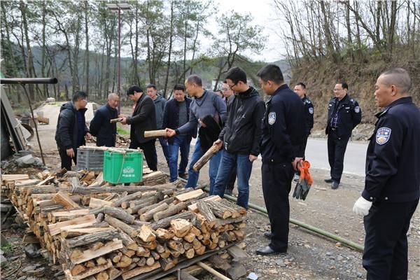 国家林业和草原局开展专项行动从源头防控松材线虫病发生