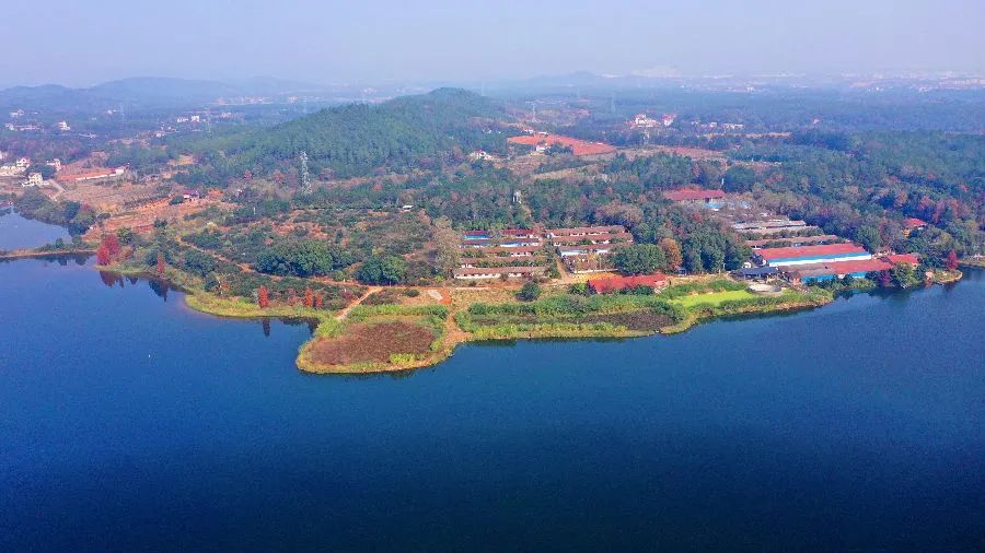 当代江西:泰和县:退养还湿 修复生态