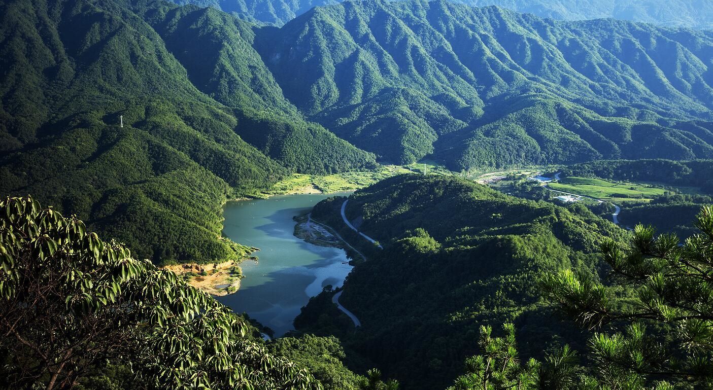 靖安绿水青山(图片由靖安县林业局提供)