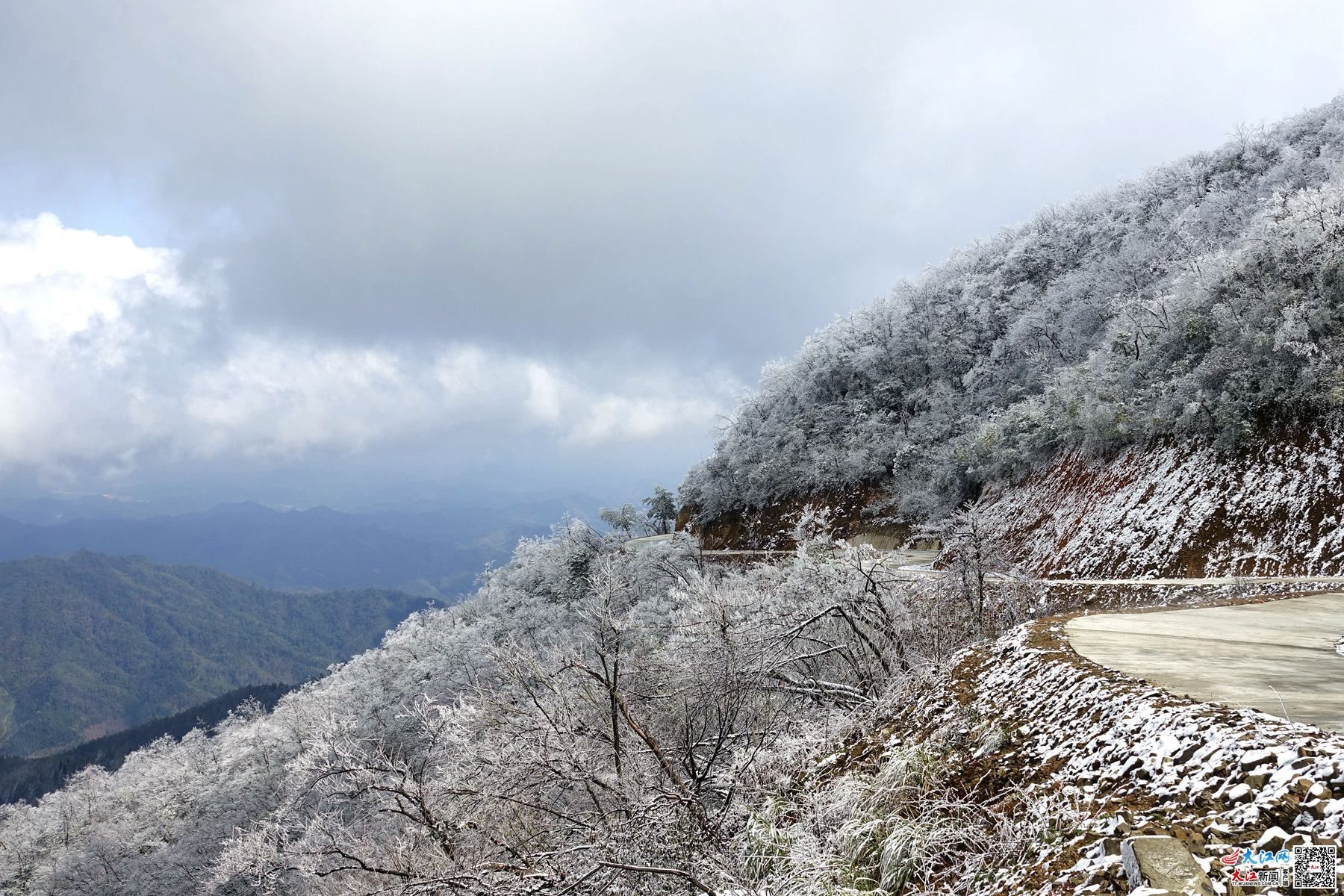 大江网:分宜大岗山飘雪 雾凇美景惹人醉