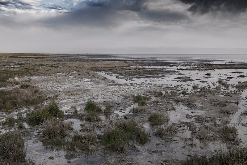 巴里坤湖盐碱沼泽