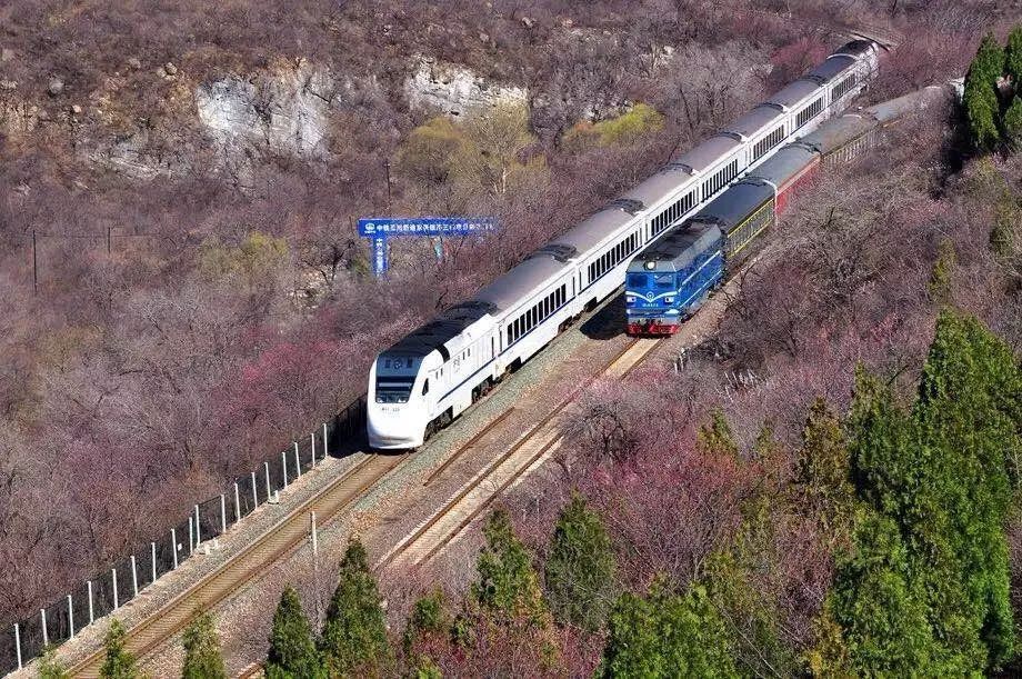 2019开往春天的列车,北京最长赏花风景线